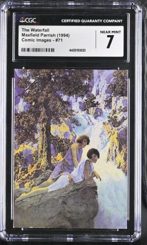 N042漫畫 鑑定收藏卡