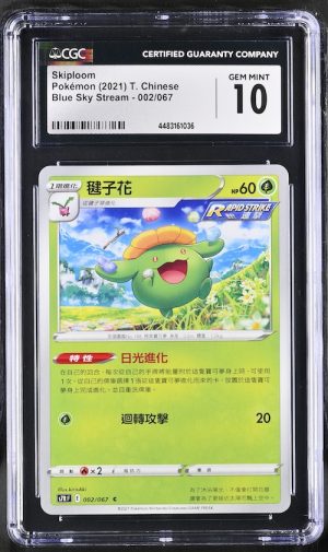 P120Pokémon 鑑定收藏卡