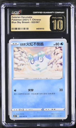 P127Pokémon 鑑定收藏卡
