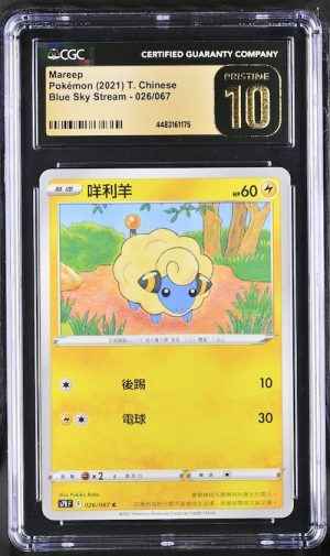 P124Pokémon 鑑定收藏卡