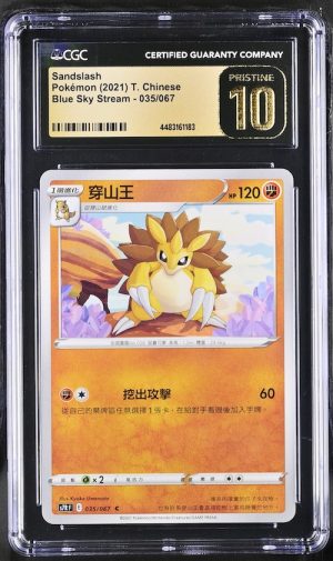 P123Pokémon 鑑定收藏卡