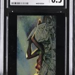 N062漫畫 鑑定收藏卡